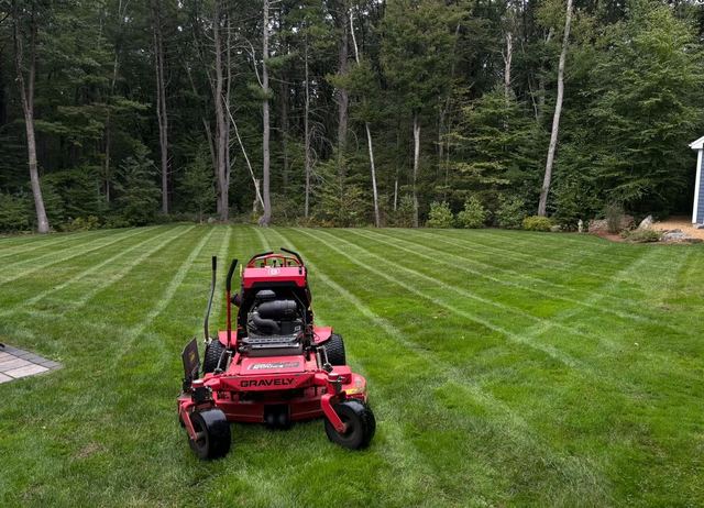Striped lawn mowing in a wooded southern Minnesota backyard